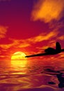 Plane and sunset