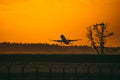 The plane takes off at the airport at sunny orange and sunset. Royalty Free Stock Photo