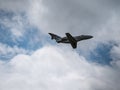 Plane Take Off at ZÃÂ¼rich Airport Switzerland Royalty Free Stock Photo