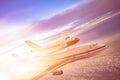The plane transports a spaceship into space. Shuttle against the background of the sky with clouds and bright light Royalty Free Stock Photo