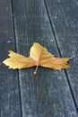 Plane tree leaf on wood deck Royalty Free Stock Photo