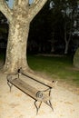 Plane tree trunk and wooden bench in the night in the park