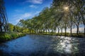 Plane trees on the edge of the Canal du Midi in the south of France Royalty Free Stock Photo