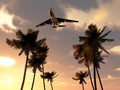 Plane In Tropical Sky Royalty Free Stock Photo