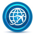 Plane world icon eyeball blue round button Royalty Free Stock Photo