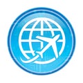 Plane world icon floral blue round button Royalty Free Stock Photo