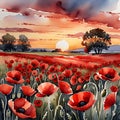 planes flying over a poppy field as the sun goes down Remembrance Day illustration