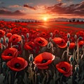 planes flying over a poppy field as the sun goes down Remembrance Day illustration