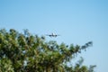 Planes on the runway of the airline Ryanair, easyJet and TAP Air Portugal