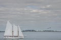 Planes and ships seen from the port