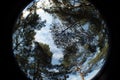 Planet. Beautiful view of the sky through the pine branches in the shape of a circle