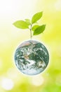 Planet earth with beautiful freshness growth tree and drop of wa Royalty Free Stock Photo