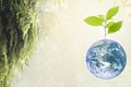 Planet earth with beautiful freshness growth tree. Royalty Free Stock Photo