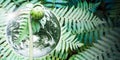 Planet earth with beautiful freshness growth tree fern. Royalty Free Stock Photo