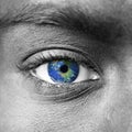 Planet earth in blue human eye Royalty Free Stock Photo