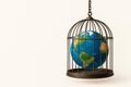 Planet Earth in a cage. Space for text. Royalty Free Stock Photo
