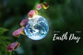 Planet earth catched by new growth fern on outdoor summer forest with glow bright light and bokeh for earth day presentation Royalty Free Stock Photo