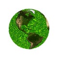 Planet earth covered with the leaves. Eco globe.