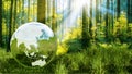 Planet Earth crystal ball on a green forest 3D rendering Royalty Free Stock Photo