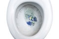 Planet earth is flushed with a lot of drinking water into a toilet bowl, waste of environmental resources and water saving concept