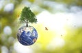 Planet Earth globe ball and growing tree, flying yellow butterfly on green sunny blur background.
