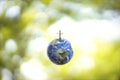 Planet Earth globe ball and growing tree on green sunny blurred background.