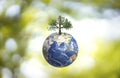 Planet Earth globe ball and growing tree on green sunny blurred background.
