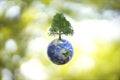 Planet Earth globe ball and growing tree on green sunny blurred background.