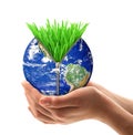 Planet Earth with grass hand-held Royalty Free Stock Photo