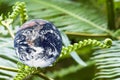 Planet Earth with Green Ferns