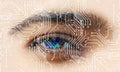 Planet Earth in human eye.world network technology.eye vision. Royalty Free Stock Photo