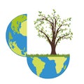 Planet Earth in section with tree on grass vector illustration Royalty Free Stock Photo