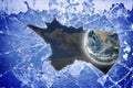 Planet Earth seen through a broken glass - freedom concept image