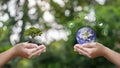 Planet exchange with clean energy icon in human hand with small tree in human hand. Environmental conservation concept Royalty Free Stock Photo