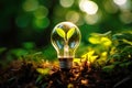 Planet saving symbol: plant sprout in light bulb of renewables Royalty Free Stock Photo