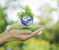 Planet and tree in human hands on green bokeh background, Save t Royalty Free Stock Photo
