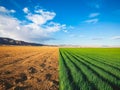 Planet turning to drought fields, concept illustrating climate change affects agriculture and earth