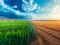 Planet turning to drought fields, concept illustrating climate change affects agriculture and earth Royalty Free Stock Photo