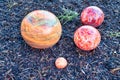 Planets abstract. Colourful balls on the ground