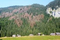 Planina Blato, traditional pasture, Triglav, Slovenia