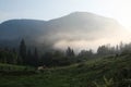 Planina Blato, traditional pasture, Triglav, Slovenia