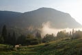 Planina Blato, traditional pasture, Triglav, Slovenia