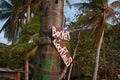 Plank with cocktails sign on a palm tree