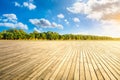 Plank square and woods background landscape Royalty Free Stock Photo