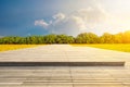 Plank square and woods background landscape Royalty Free Stock Photo