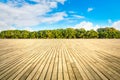 Plank square and woods background landscape Royalty Free Stock Photo