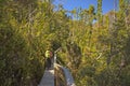 Plank walkway of Dove Lake Circuit Walk in Cradle Mountain, Australia.