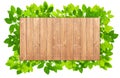 Plank Wood Background with leaves frame Royalty Free Stock Photo