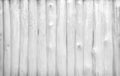 Plank wood texture wall , blank grunge in vertical patterns abstract white and gray background Royalty Free Stock Photo