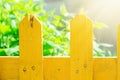 Plank Wooden Painted Yellow Fence Garden Greenery Herbs in Background. Bright Golden Sunlight. Vivid Colors. Spring Summer Royalty Free Stock Photo